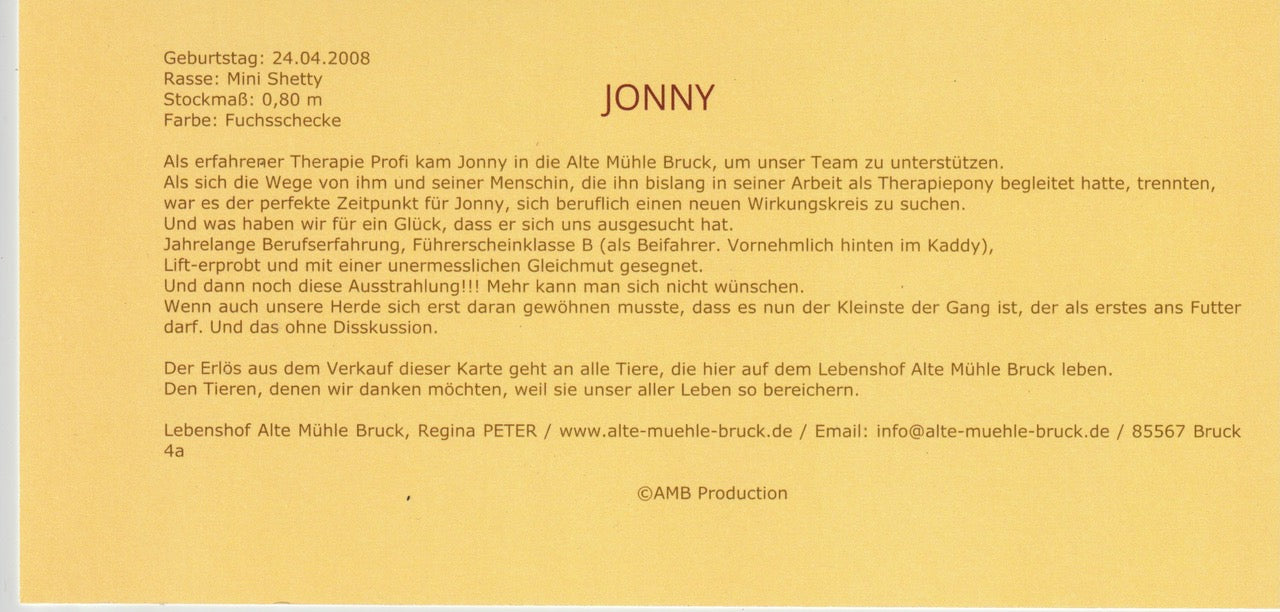 AMB-Sammelkarten