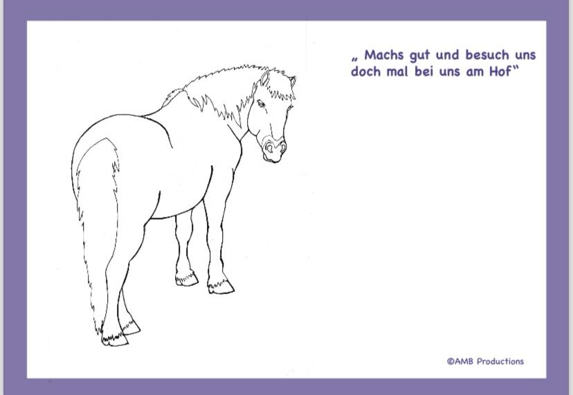 Tierisch Heilen e.V. - Pony-Malbuch