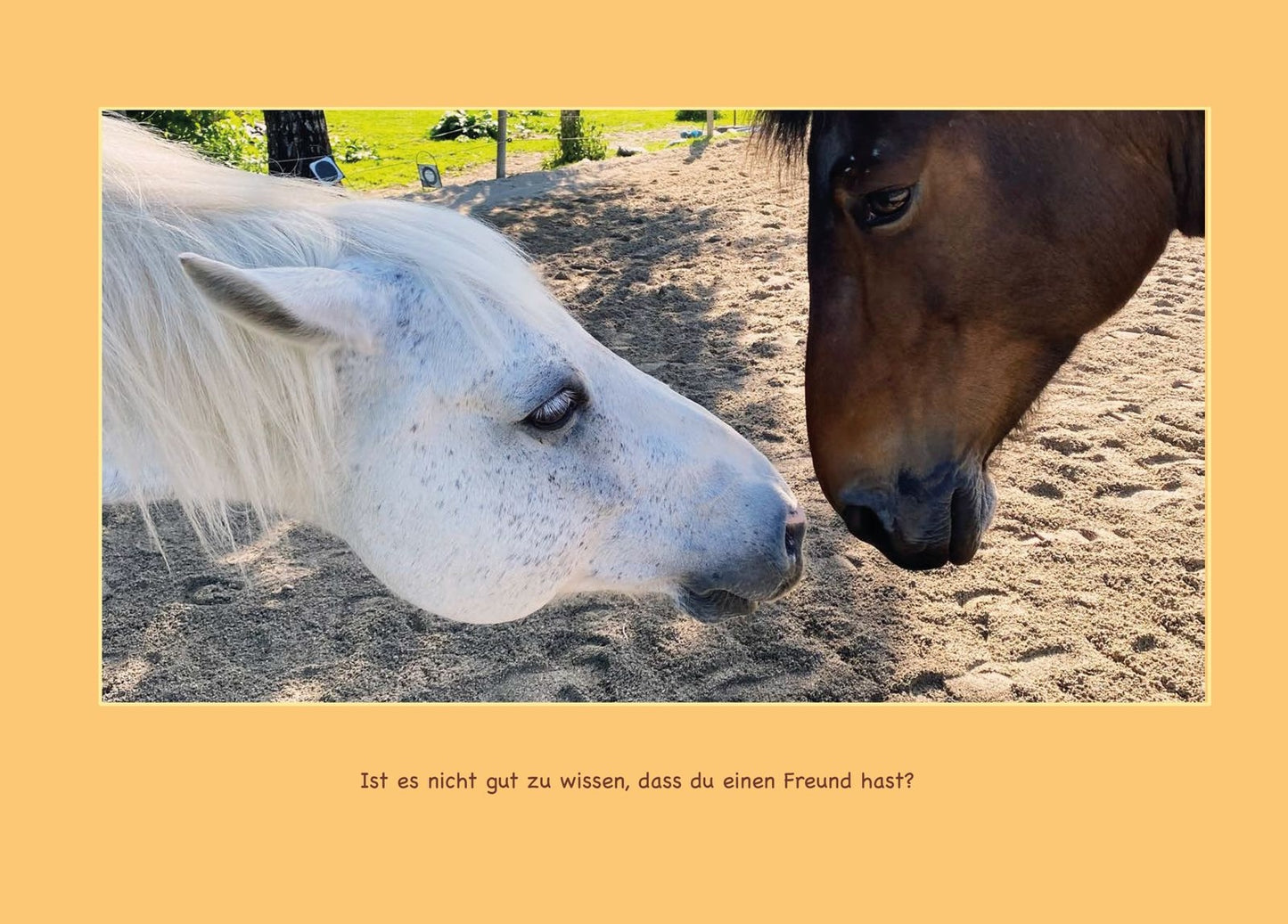 Kalender 2026 - Lebenshof Alte Mühle Bruck