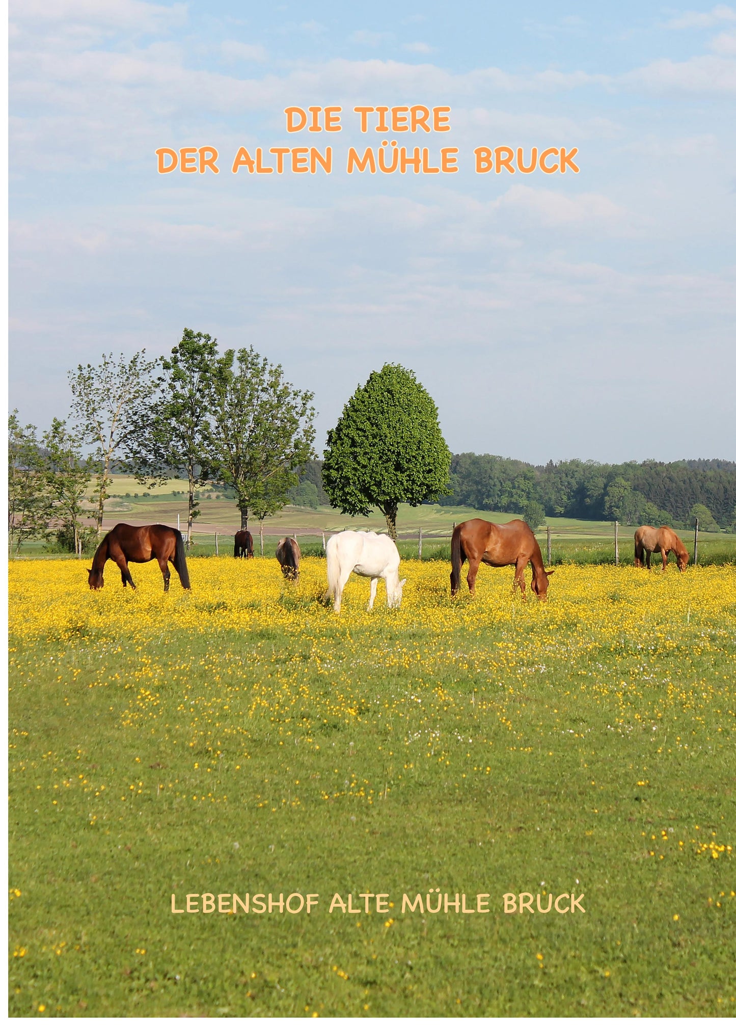 'Die Tiere der Alten Mühle Bruck'