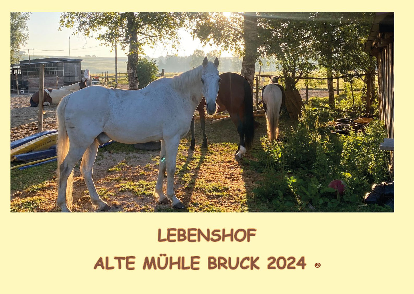 Kalender 2024 - Lebenshof Alte Mühle Bruck
