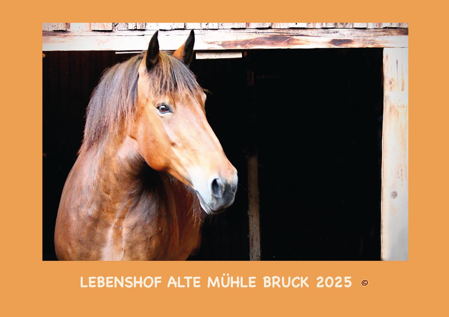 Kalender 2025 - Lebenshof Alte Mühle Bruck