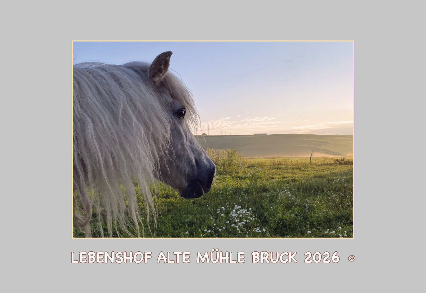 Kalender 2026 - Lebenshof Alte Mühle Bruck
