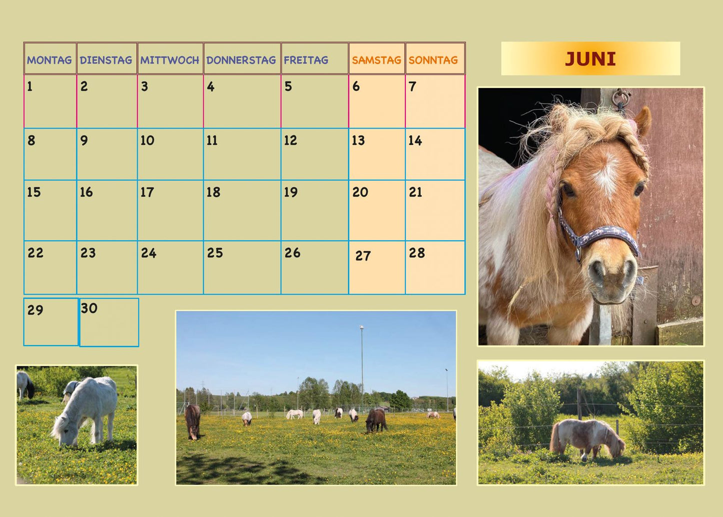 Kalender 2026 - Lebenshof Alte Mühle Bruck