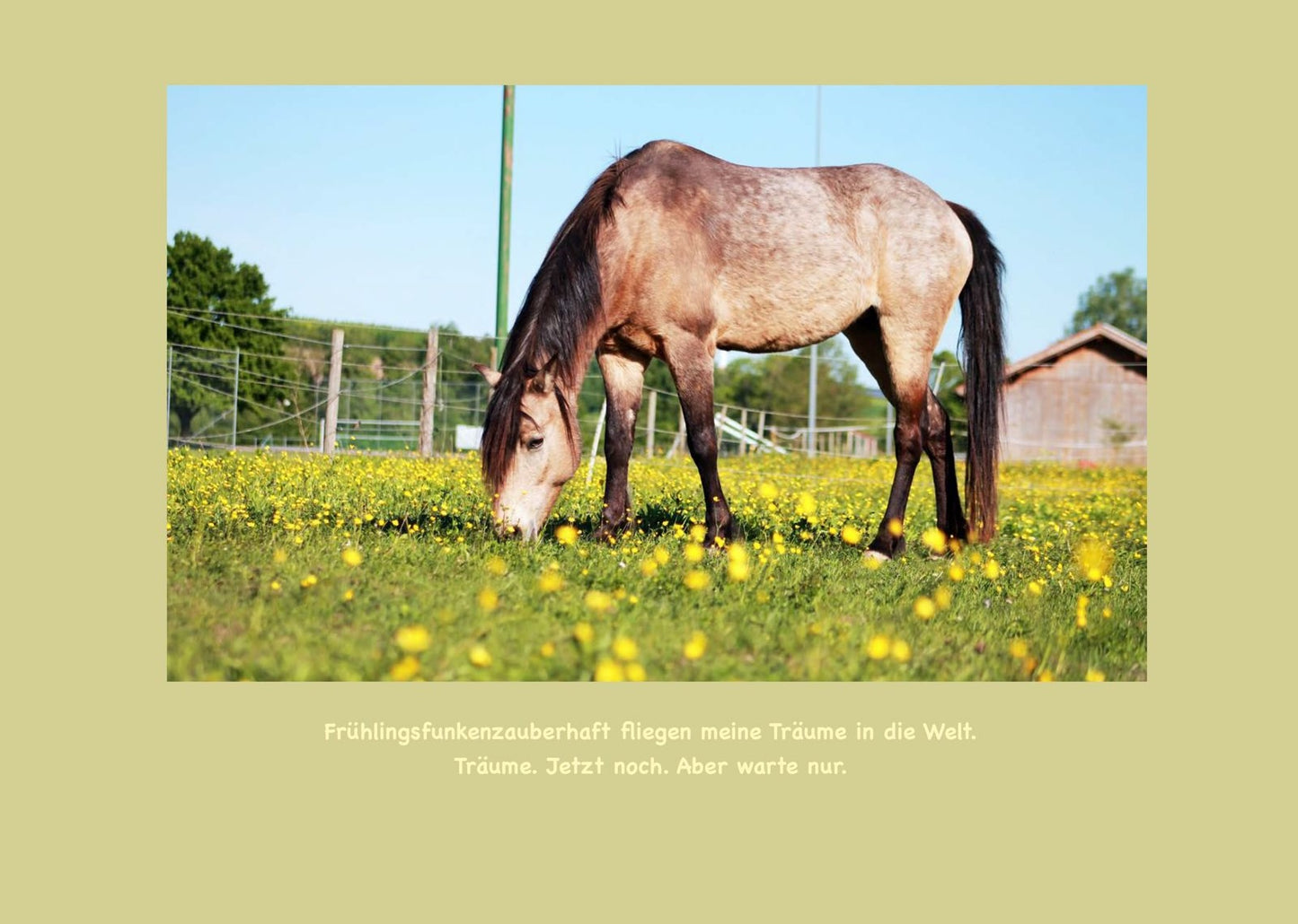 Kalender 2026 - Lebenshof Alte Mühle Bruck